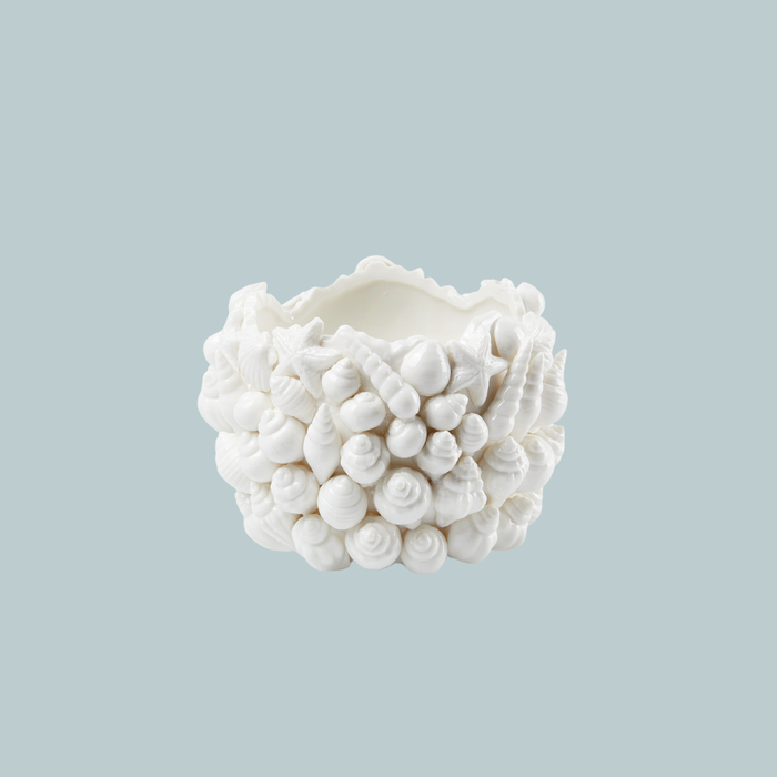 Sea Shell Blanc De Chine Bowl on blue background