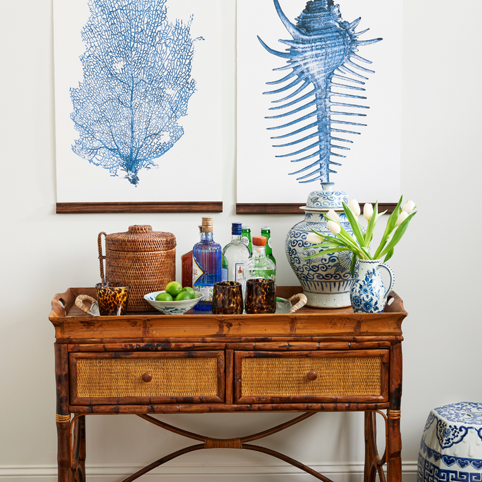Spiny Murex Print on Wall - Dear Keaton
