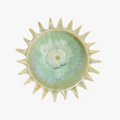 Sunburst Reactive Glaze Bowl