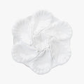 White Oyster Plate